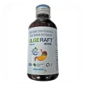 Ulge Raft Suspension Peppermint Flavour Sugar Free 150ml