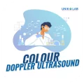 Colour Doppler