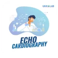 Echocardiography