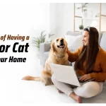 Why Getting a Pet Dog or Cat is Essential for Your Well-being